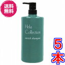 【送料無料】大高酵素 エンリッチシャンプー 1000ml ×超お得5本《ヘーラーコレクション Hela Collection enrich shampoo》
