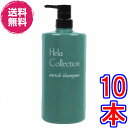 【送料無料】大高酵素 エンリッチシャンプー 1000ml ×超お得10本《ヘーラーコレクション Hela Collection enrich shampoo》