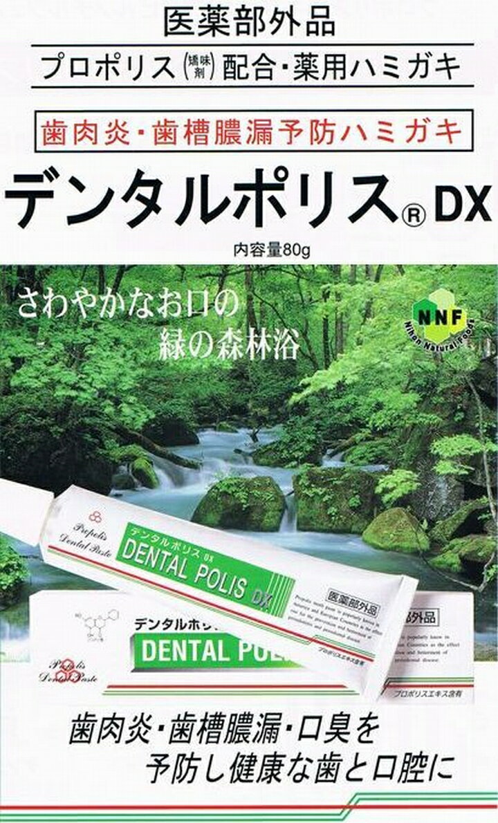 【送料無料 ポスト投函】デンタルポリスDX80...の紹介画像2
