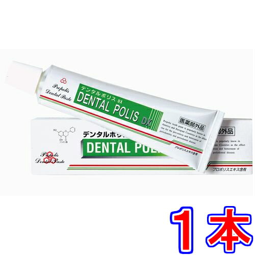 デンタルポリス DX　《80g、医薬部外品、歯肉炎・歯槽膿漏・口臭を予防》