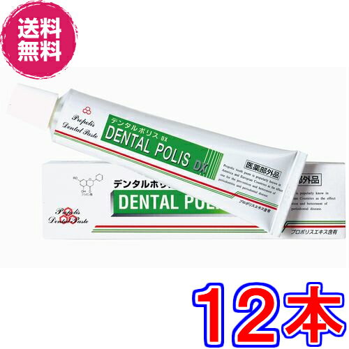 【送料無料】デンタルポリス DX　×超お得12本 ＋8g（携帯用）12個プレゼント《本体1本80g、医薬部外品、歯肉炎・歯槽膿漏・口臭を予防》