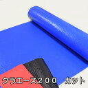 （厚手♯3000）ブルーシート呼称5.4m×5.4m1枚実寸約5.25Mx5.3Mハトメ数24【防水、花見、台風対策、養生、レジャー、アウトドア、雨よけ、運動会に】