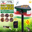 【開店セール】動物撃退器 赤外線 猫よけ 超音波 3面超音波 防水 LEDフラッシュライト 4モード 猫除け 強力 ねこよけ 害獣撃退 360° 保護 USB充電&ソーラー充電 夜間マルチセグメント 糞被害 IP65 鳥除け 犬除け ネズミよけ 尿 獣害 ヘビ リモコン付き(4)