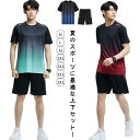 ジャージ 短パン 半袖Tシャツ 薄手 2点セット tシャ 半袖 ハーフパンツ トレーニングウェア ランニングウェア メンズ 上下セット