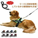 リード ドッグ 胴輪 小型犬 ペット リードセット 8の字ハーネス ハーネス 中型犬 犬用 首輪 スプリング 大型犬 通気性 ハーネス
