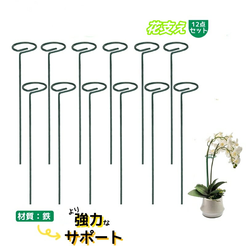 誘引 支柱棚 園芸支 鉄製 40cm ガーデニング 観葉支柱 支柱 植物サポート 園芸用 強力なサポート 花ささえ 農業用 フラワー支柱
