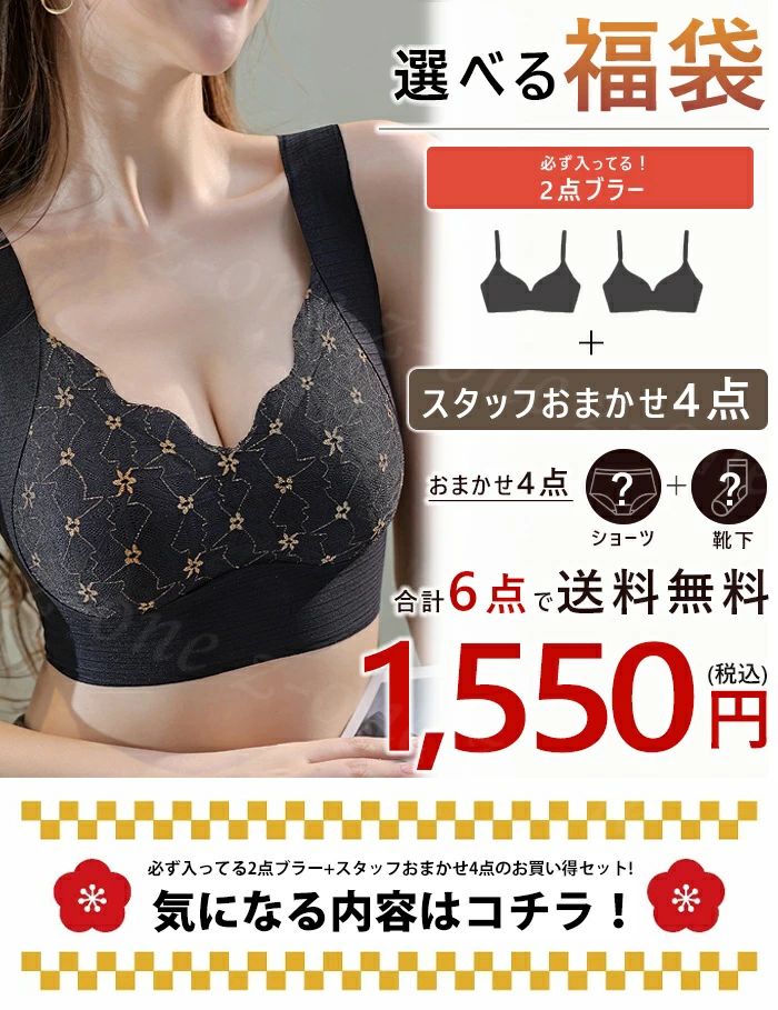 2025年新春福袋 ナイトブラ 2025 選べる9タイプ 自分で選べるインナー6点入り福袋 ブラ 福袋 ブラ2点+ソックス/ショーツランダム