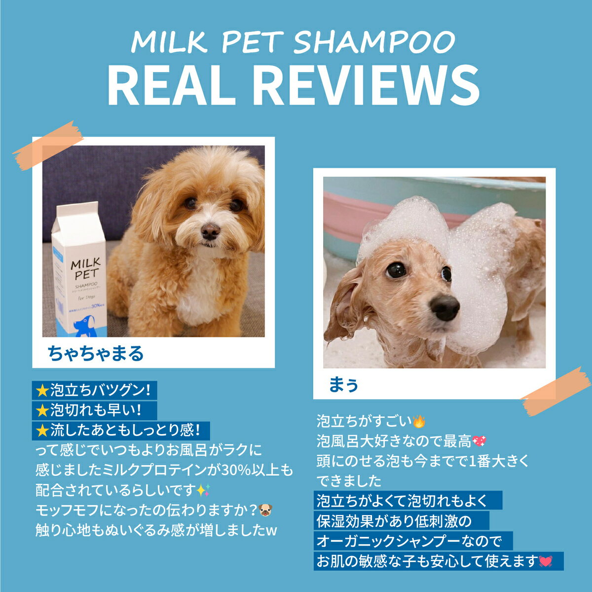 【トリマー監修】MILKPET ミルクペットシャンプー オーガニック 高保湿 認証成分配合 犬シャンプー 低刺激ボタニカル 犬用シャンプー ペットシャンプー 犬 ドッグシャンプー（全犬種）犬 シャンプー 犬のシャンプー （犬用）300ml 2