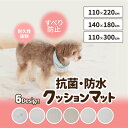 抗菌・防水クッションマット | ペットマット ペットカーペット 大判 滑らない 防音 クッション フローリング フロアマット カーペット ジョイントマット 犬 ...