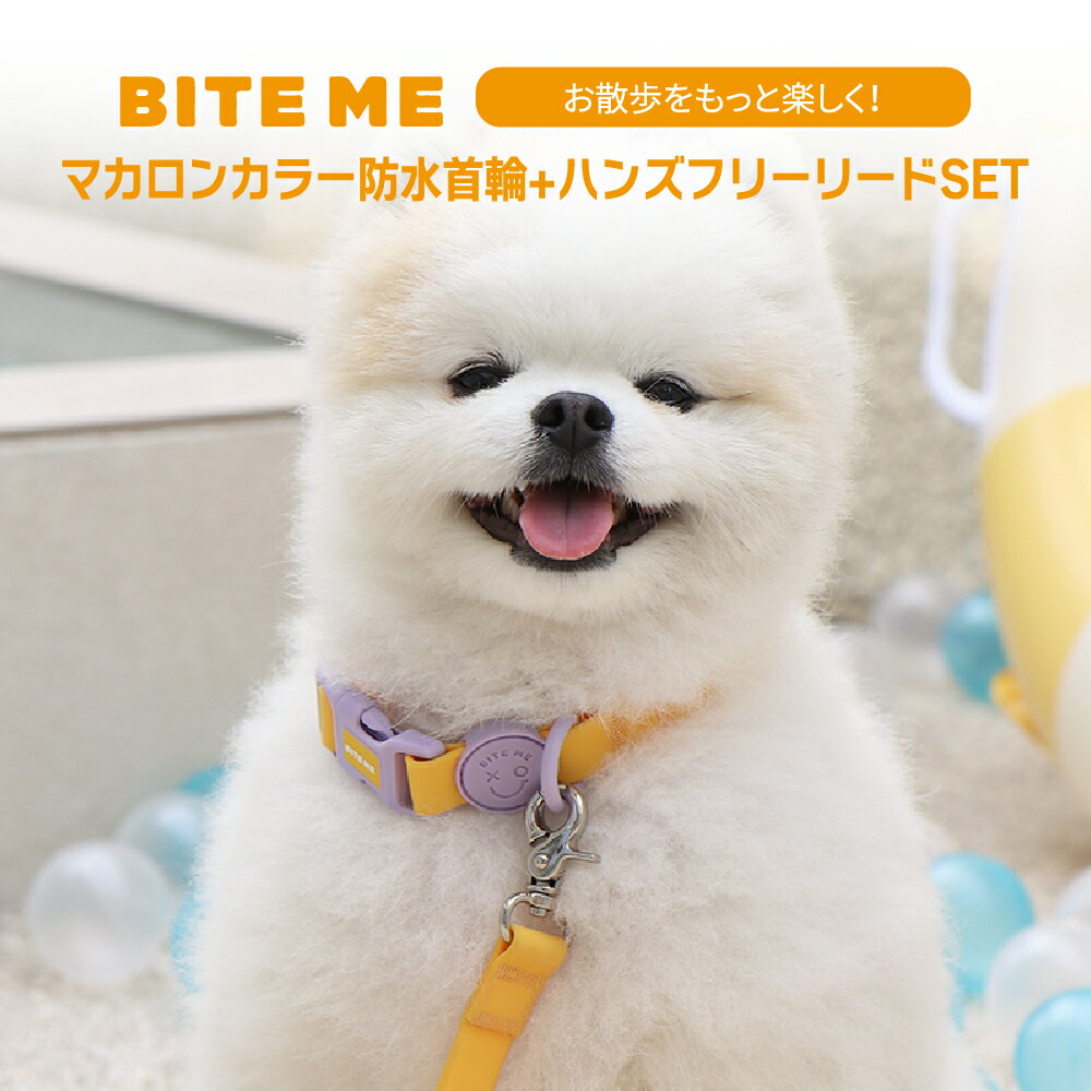 BITE ME（バイトミー） マカロン防水首輪+ハンズフリーリードSET s/mサイズ カラー：4色 | ペット犬 犬..