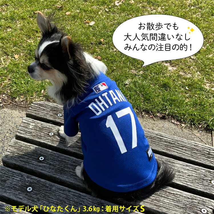 MLBPA MLB��ǧ �ڥå��ѥ��㡼�� ���顼 ��ë��ǥ� SHO-4006W ���� ������ ��˥ե����� �� �ɥ��㡼�� �֥��� ������ ���� ���ե� ����� �ץ쥼��� ���� ���� ������ ������ ��幥�� �ڥåȥ��å� �ڥå�