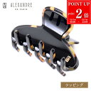 【P2倍★7/20まで】ALEXANDRE DE PARIS アレクサンドル ドゥ パリ S クリップ ACCS-17854-02P23 ヘアクリップ アクセサリー ヘアアクセサリー バンスクリップ 髪留め レディース ブランド 正規品 新品 ギフト ホワイトデー お返し プレゼント 誕生日 女性