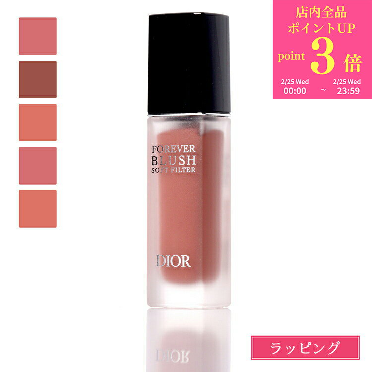 ������P3�ܡ�2/25�� �ǥ������� Dior �ǥ������륹���� �ե����������� �֥�å��� ���ե� �ե��륿�� ������ ������ ��ǥ����� �֥��� ������ ...