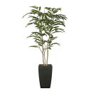 アートグリーン 人工観葉植物 光触媒 光の楽園 アーバンアムステルラバーキング1.8