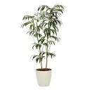 アートグリーン 人工観葉植物 光触媒 光の楽園 ショウナンゴム1.8