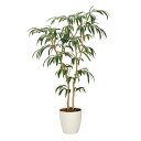アートグリーン 人工観葉植物 光触媒 光の楽園 ショウナンゴム1.6