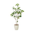 アートグリーン 人工観葉植物 光触媒 光の楽園 サラサドウダン1.2