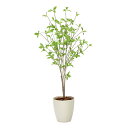 アートグリーン 人工観葉植物 光触媒 光の楽園 クロモジ1.2