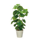 アートグリーン 人工観葉植物 光触媒 光の楽園 フレッシュDXウンベラータ1.3