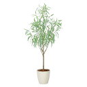 アートグリーン 人工観葉植物 光触媒 光の楽園 フレッシュシルバーユーカリ1.7