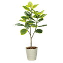アートグリーン 人工観葉植物 光触媒 光の楽園 フレッシュアルテシマ1.35