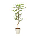 アートグリーン 人工観葉植物 光触媒 光の楽園 ソヨゴ1.3