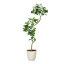 アートグリーン 人工観葉植物 光触媒 ツイストアルテシマ2.1(組立式)