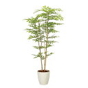 アートグリーン 人工観葉植物 光触媒 ソヨゴ1.6