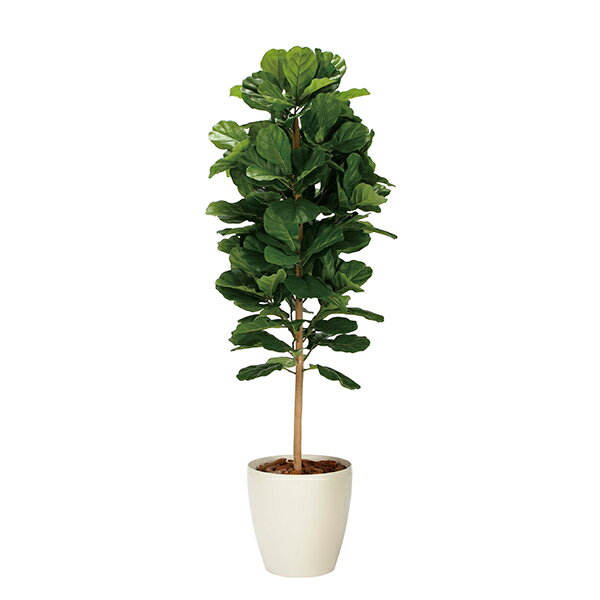 アートグリーン 人工観葉植物 光触媒 光の楽園 DXカシワバゴム1.8