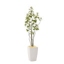 アートグリーン 人工観葉植物 光触媒 光の楽園 アーバンブランチツリー1.8