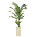 アートグリーン 人工観葉植物 光触媒 光の楽園 フレッシュパーム2.0