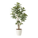 アートグリーン 人工観葉植物 光触媒 光の楽園 アルテシマDX1.6