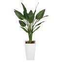 アートグリーン 人工観葉植物 光触媒 光の楽園 ストレチアW1.3