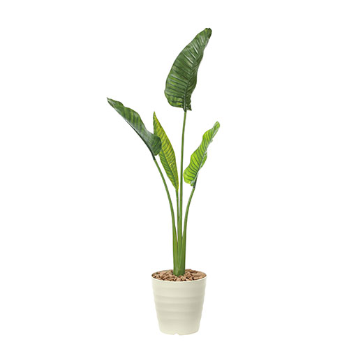 アートグリーン 人工観葉植物 光触媒 光の楽園 オーガスタM1.6(ポリ製)