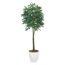 アートグリーン 人工観葉植物 光触媒 光の楽園 パキラ1.6