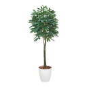 アートグリーン 人工観葉植物 光触媒 光の楽園 パキラ 2.0