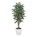 アートグリーン 人工観葉植物 光触媒 光の楽園 ロイヤルベンジャミン 1.6