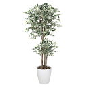 アートグリーン 人工観葉植物 光触媒 光の楽園 トロピカルベンジャミン斑入り1.8