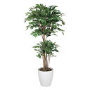 アートグリーン 人工観葉植物 光触媒 光の楽園 トロピカルベンジャミン1.6