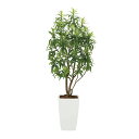 アートグリーン 人工観葉植物 光触媒 光の楽園 フレッシュドラセナW1.8
