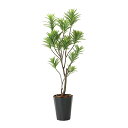アートグリーン 人工観葉植物 光触媒 光の楽園 フレッシュドラセナ1.8