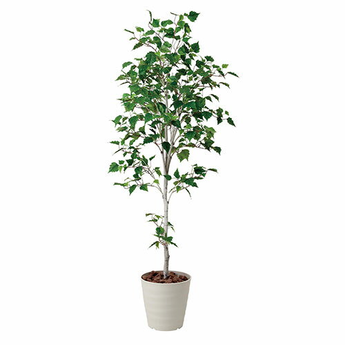 アートグリーン 人工観葉植物 光触媒 光の楽園 トネリコ1.6