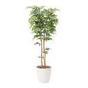 アートグリーン 人工観葉植物 光触媒 光の楽園 ケヤキ1.8
