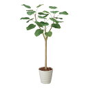 アートグリーン 人工観葉植物 光触媒 光の楽園 ウンベラ-タ 1.55