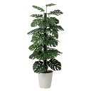 アートグリーン 人工観葉植物 光触媒 光の楽園 モンステラ 1.8
