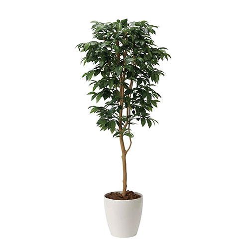 アートグリーン 人工観葉植物 光触媒 光の楽園 アルデシア(万両)1.6