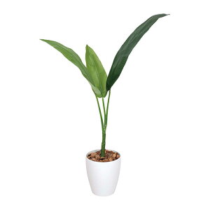 アートグリーン 人工観葉植物 光触媒 光の楽園 トラベラーズパーム1.1