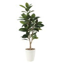 アートグリーン 人工観葉植物 光触媒 光の楽園 ゴムの木1.25