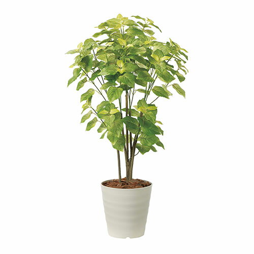 アートグリーン 人工観葉植物 光触媒 光の楽園 ペリーラ1.0