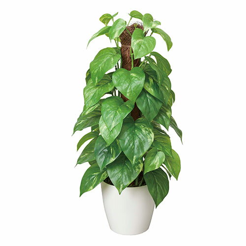 アートグリーン 人工観葉植物 光触媒 光の楽園 フレッシュポールポトス